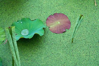 马里奥爱好者有福了！平台跳跃续作《尤卡莱莉：回归》现已发售